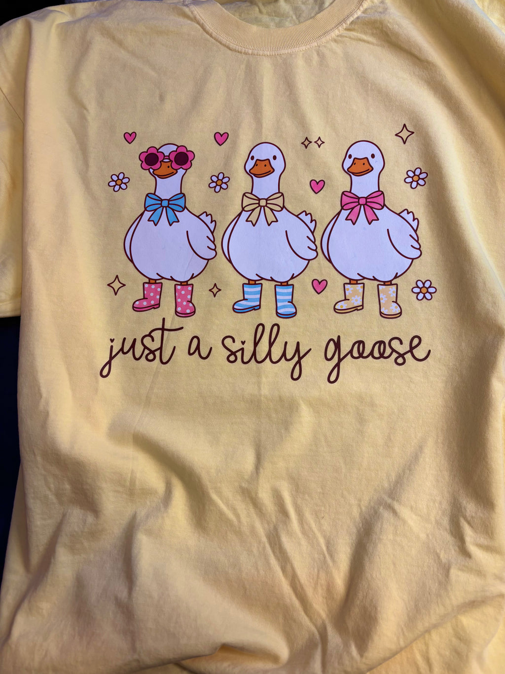 Discounted Goose Tee