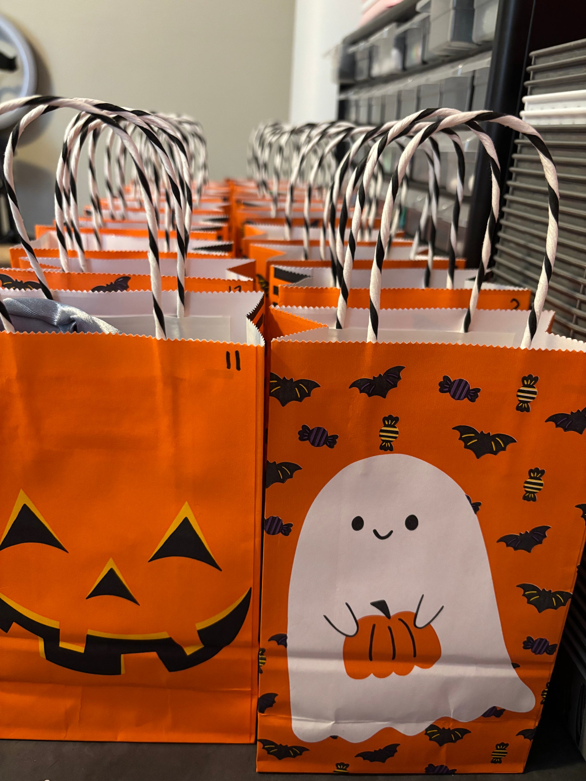 Boo Bags